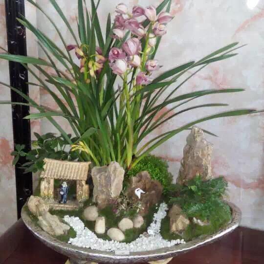 陈红芳
