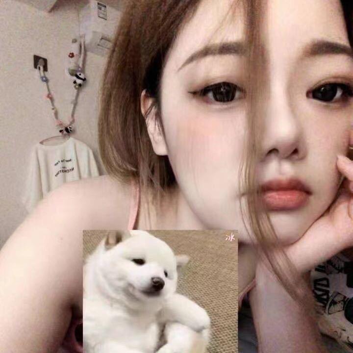 茶茶