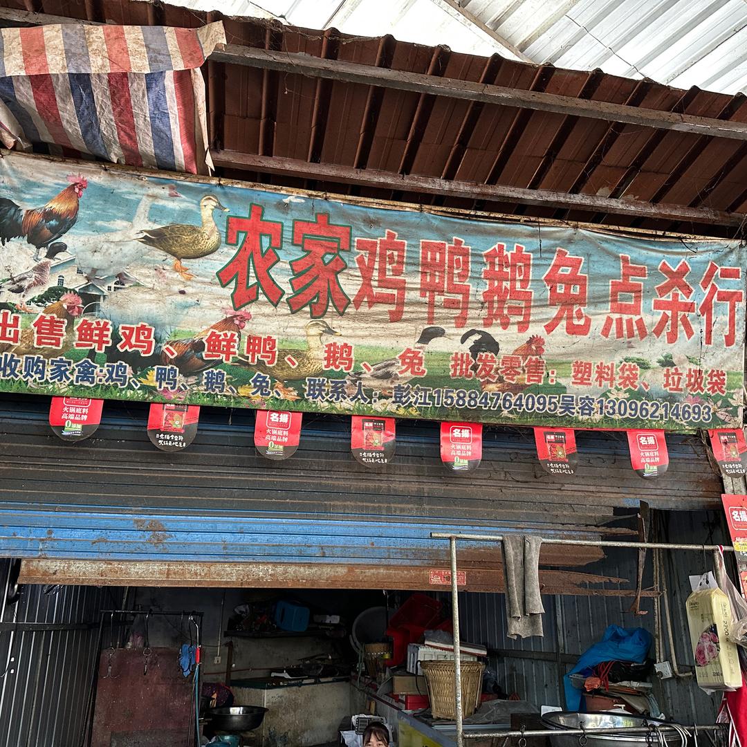 彭彭鲜禽铺🐔🦆🪿🐇