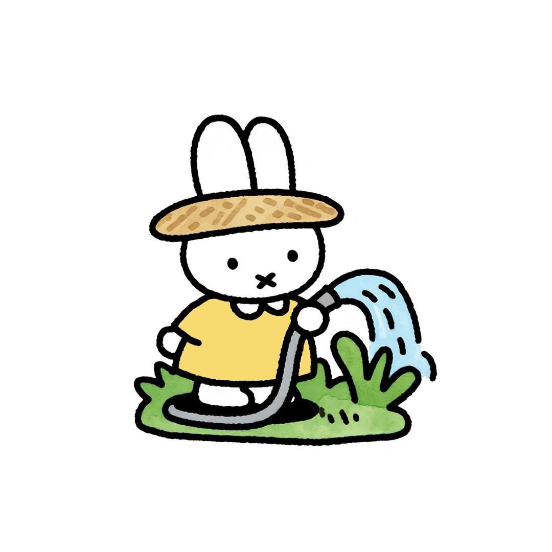 爱跳舞的鸡爪