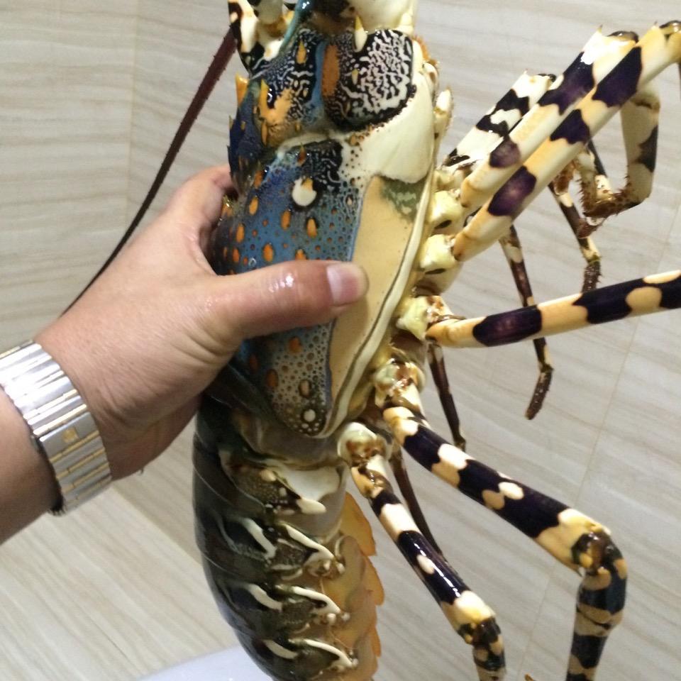 赵先生