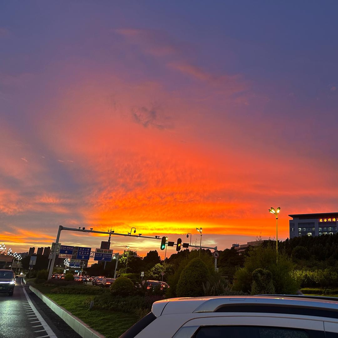 落基山脉上的菠萝