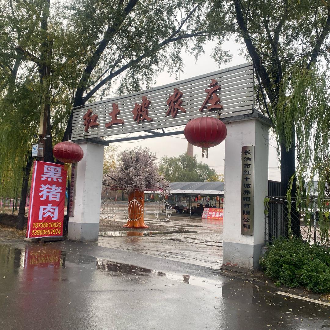 红土坡生态黑猪肉严选店