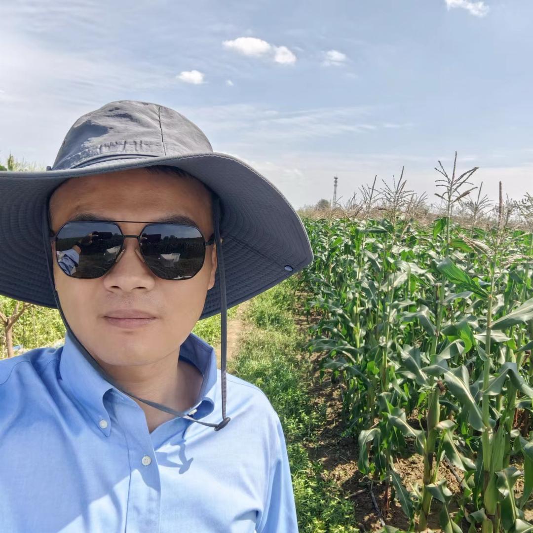鲜食玉米亮大叔
