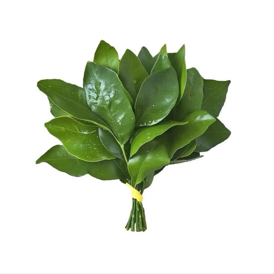 YÙ☆