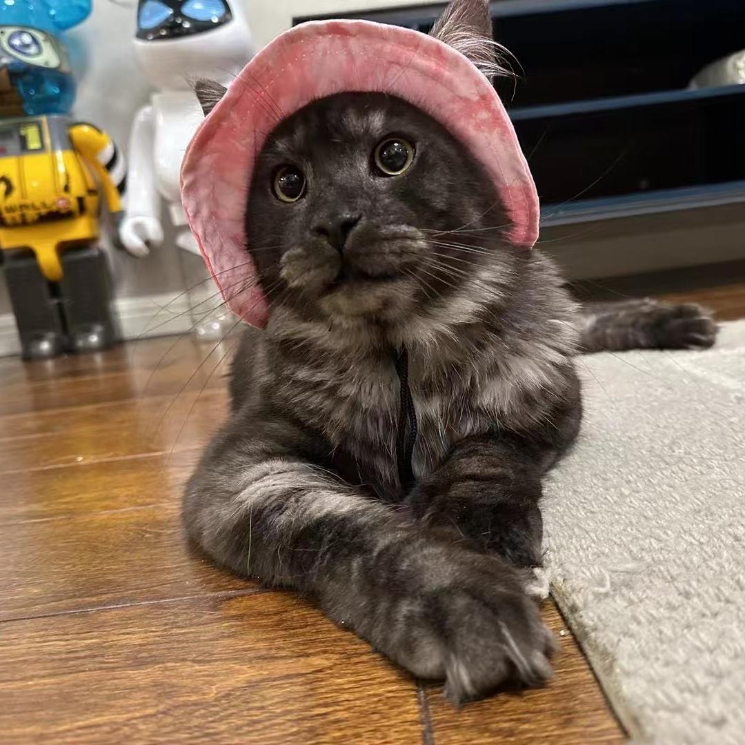 粮大壮