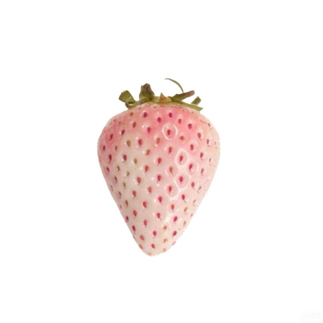 🍓WanJee🍓