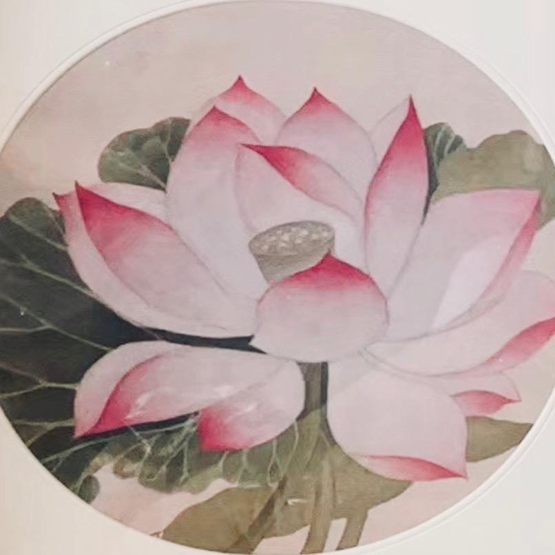 朱老师教语言