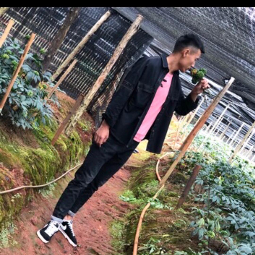 云南MJC马锦超（小🐎哥）