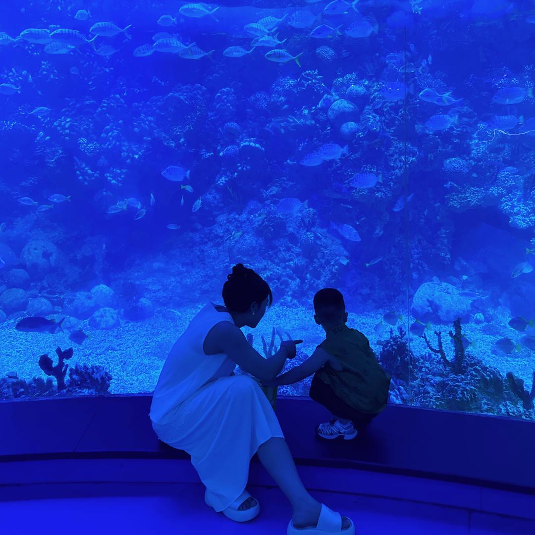 牙缝里的牛板筋