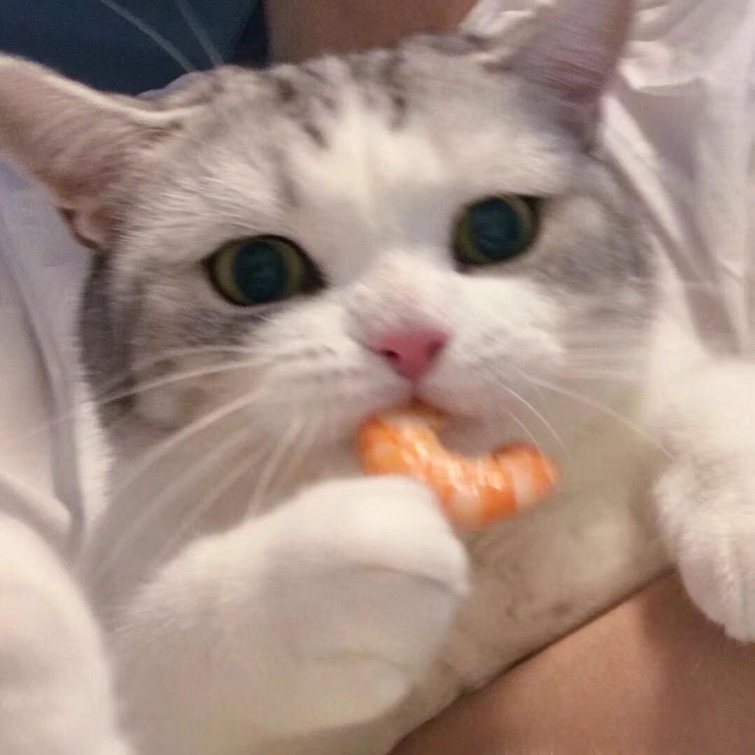 小羊羊宝贝