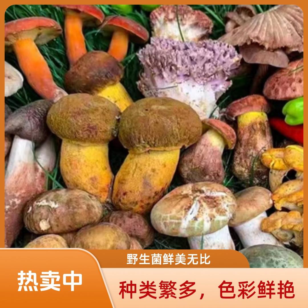 彩云山珍
