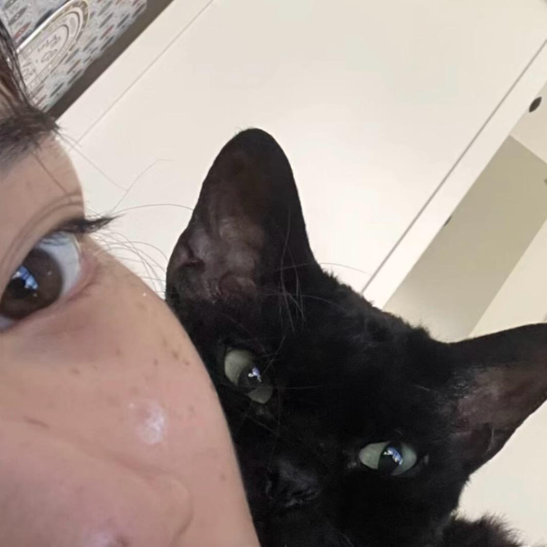 听歌的猫
