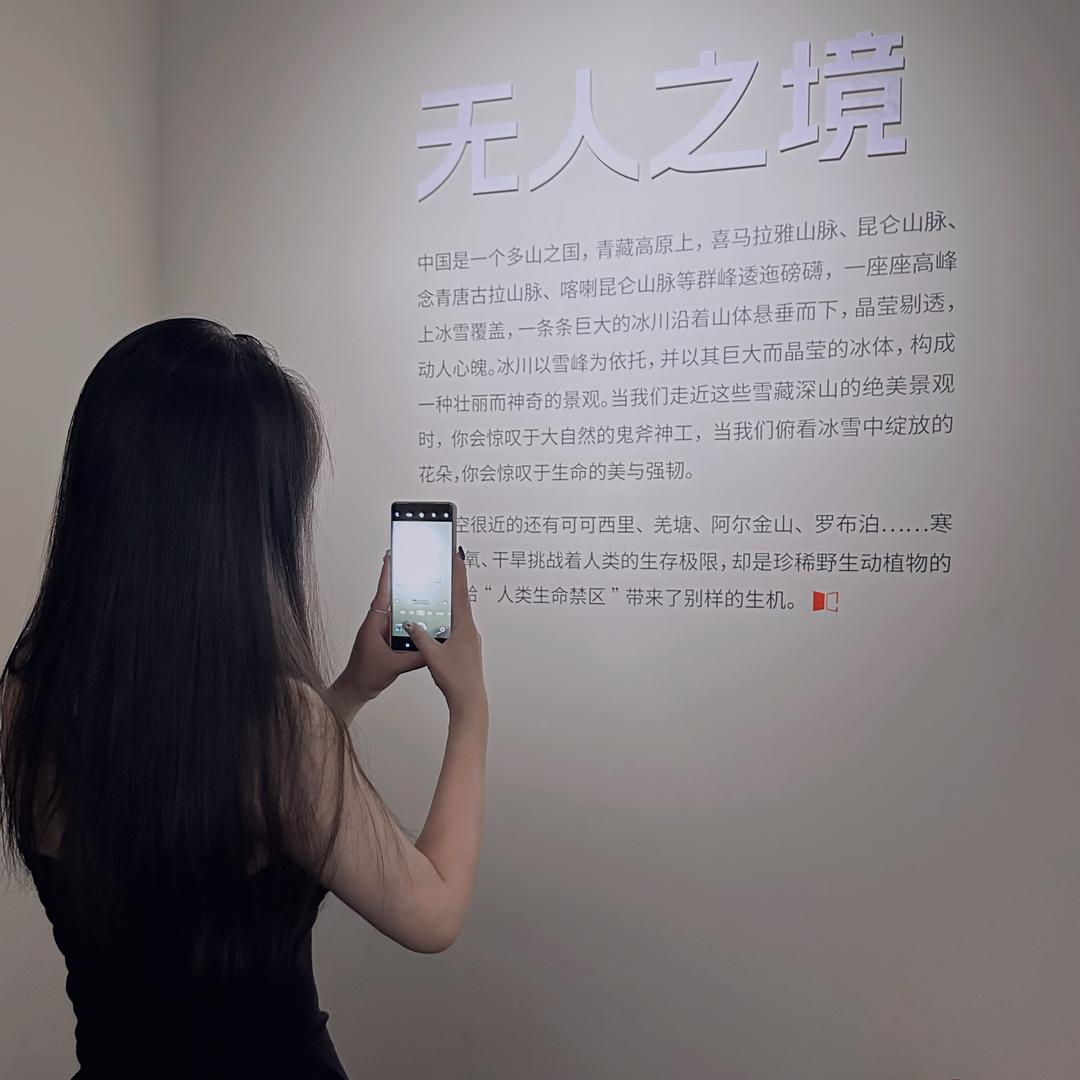 成月