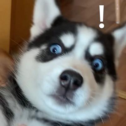 卷了个卷卷