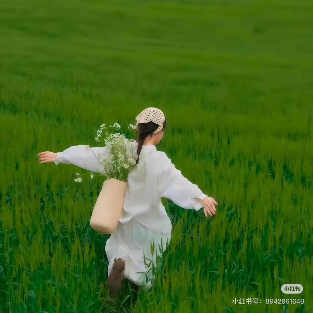 小菜🥗周记