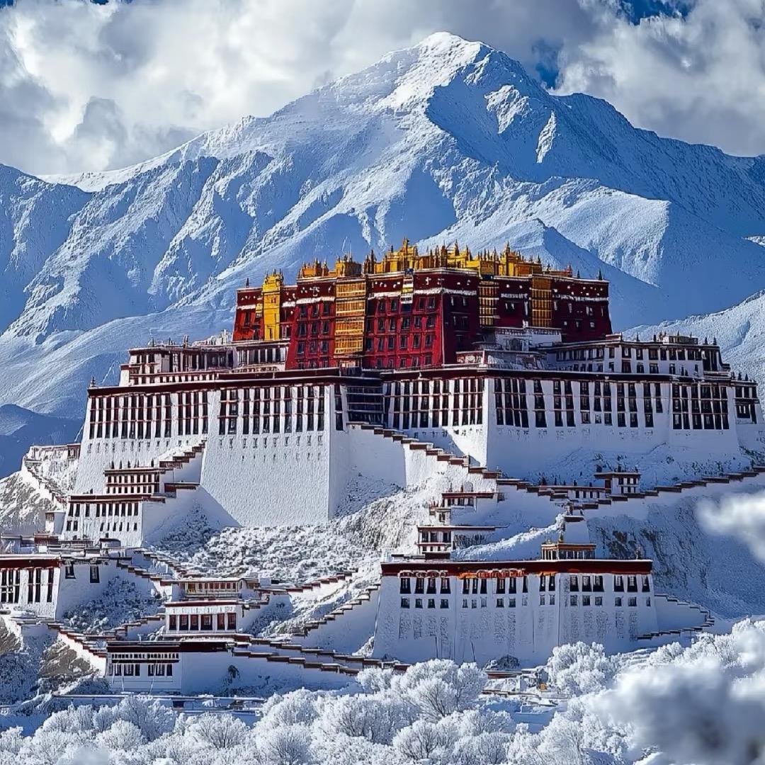 洞见之旅