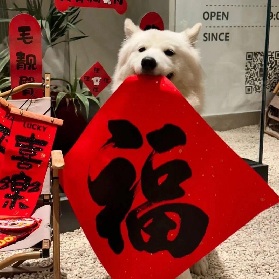 楊L🍒