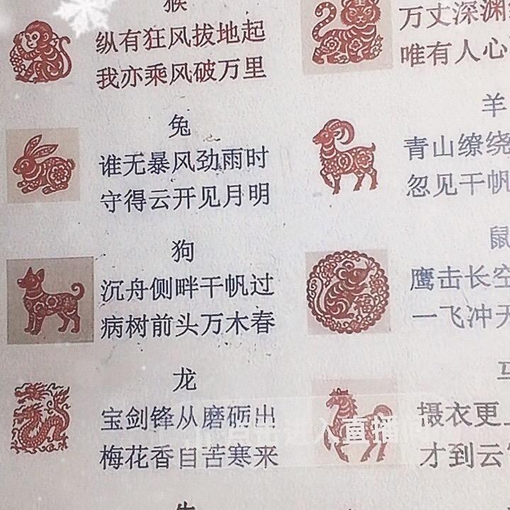 木冲哥