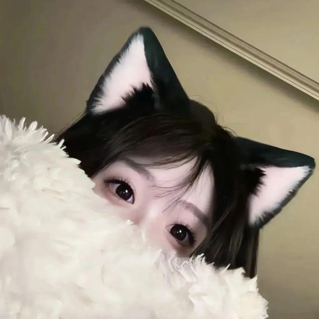 失信鸟