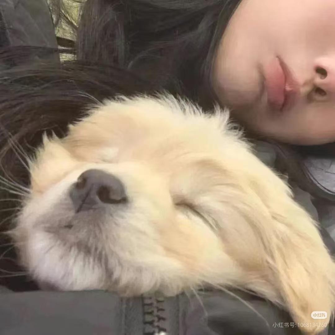 遇见.