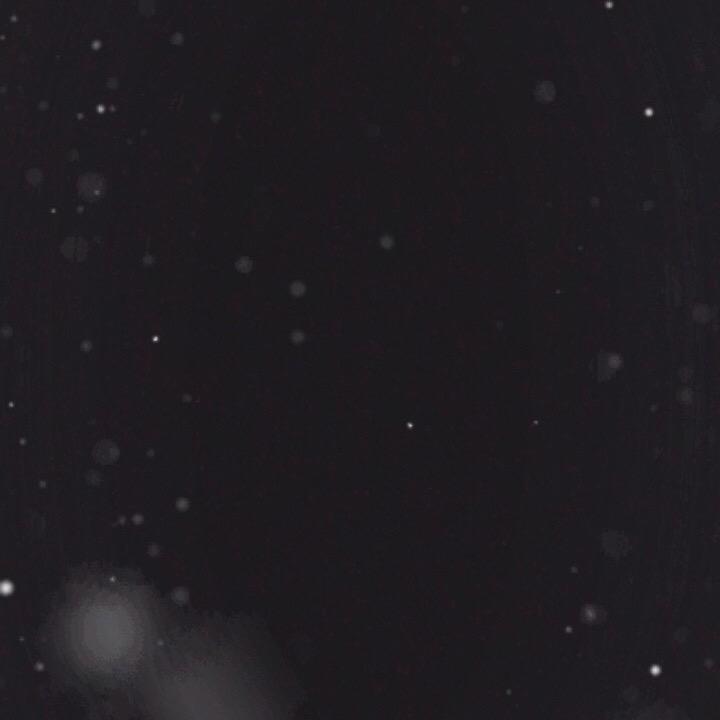 tttt