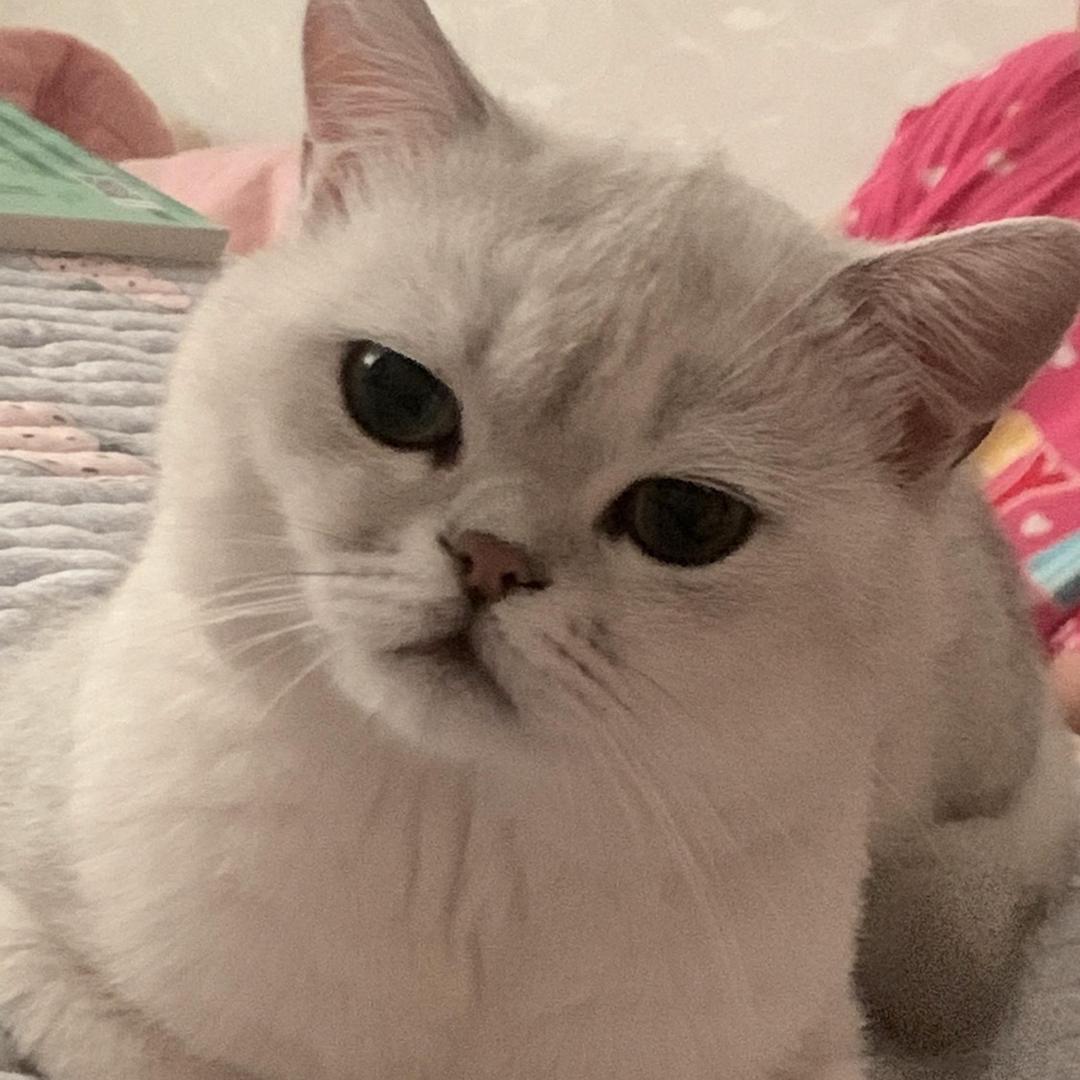 嘘韩问暖