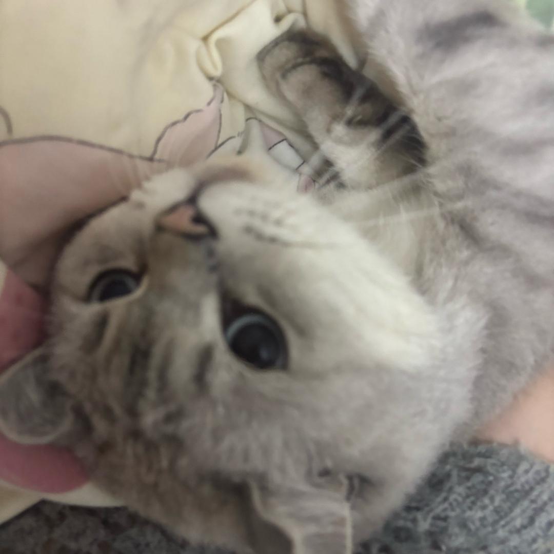 笑不出来（666.0苦瓜版本）