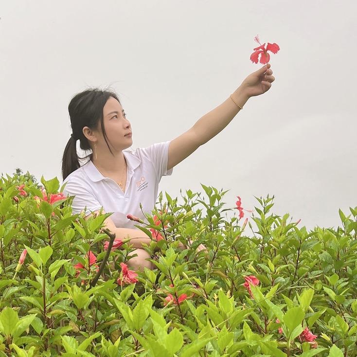 💖💖小幸运