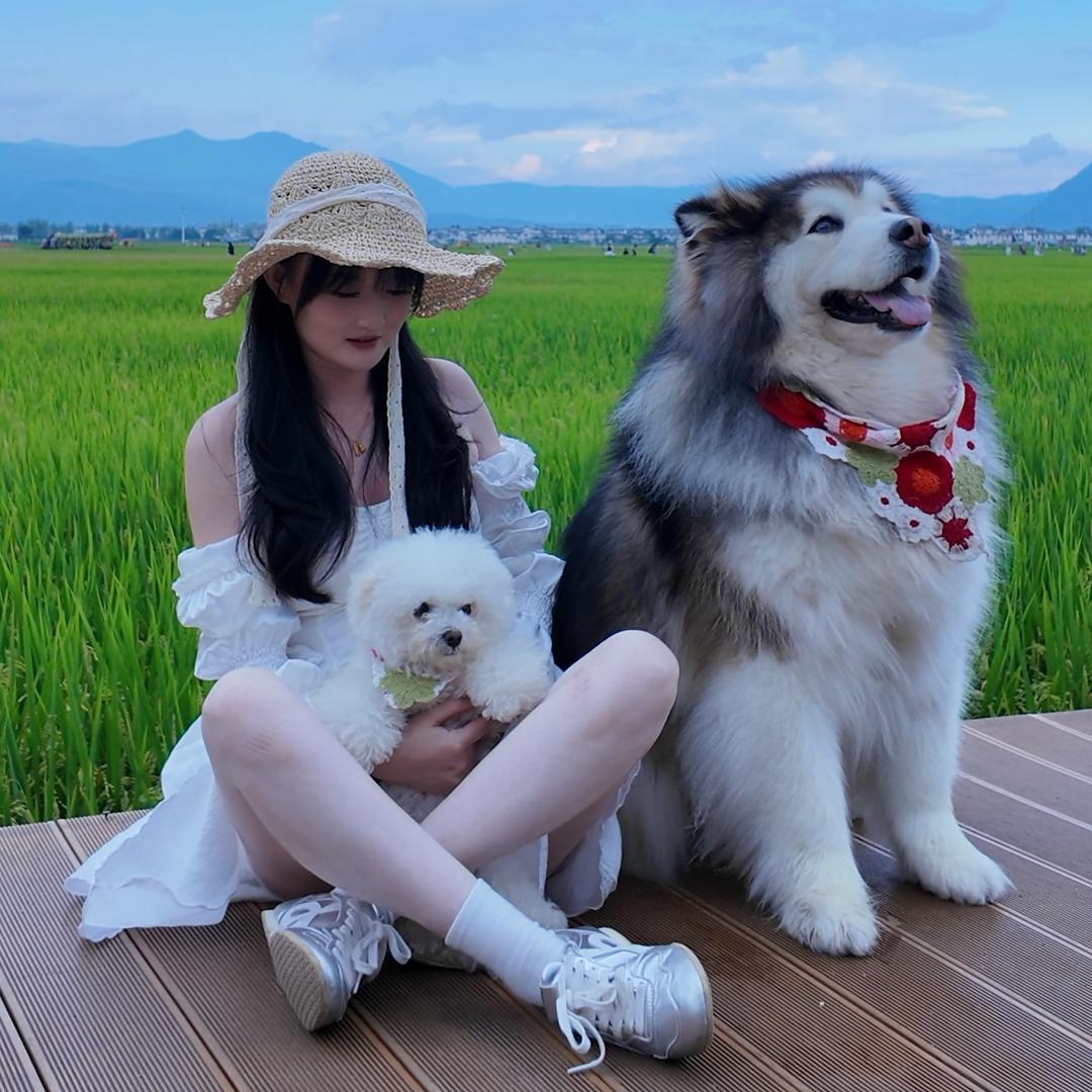 心心子