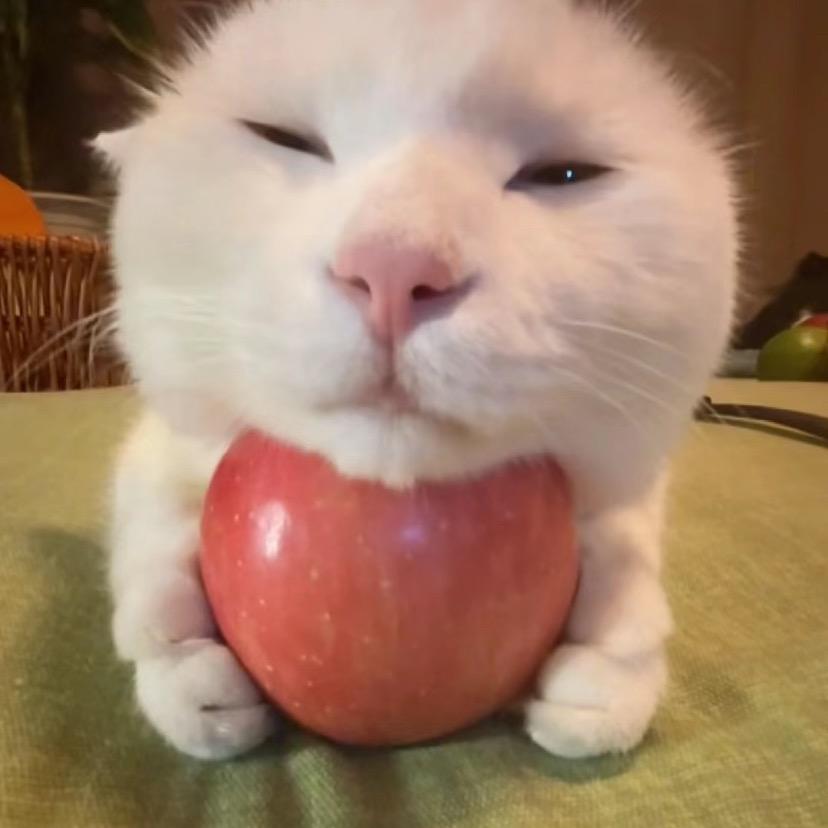 吃早饭了吗