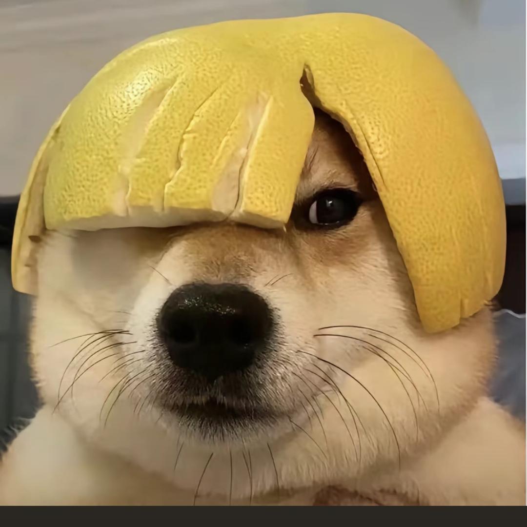 三九二七