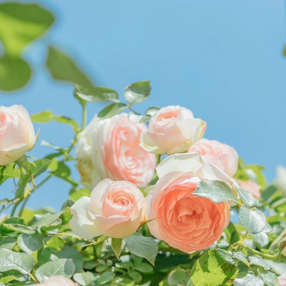 那就好好告别吧