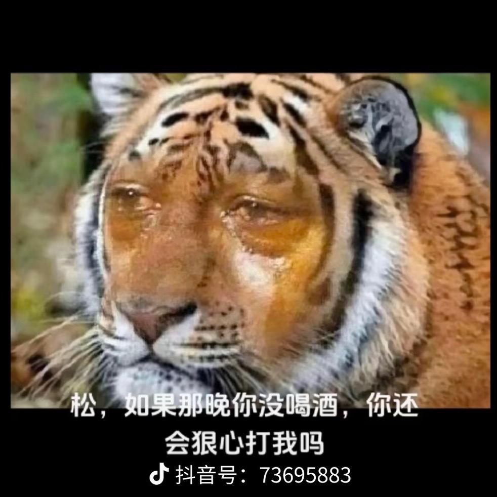 杨柳细腰
