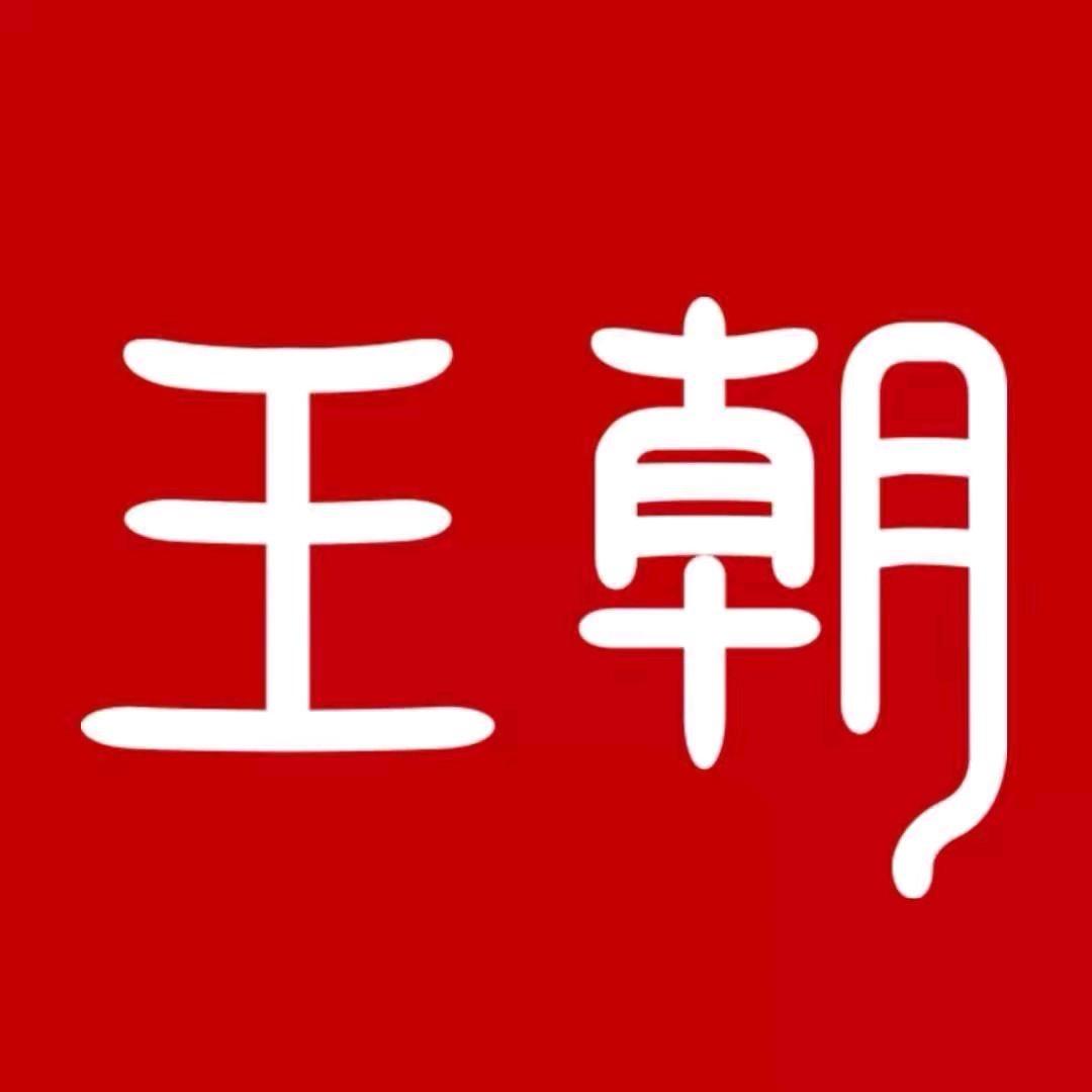 比亚迪王朝｜大连龙威