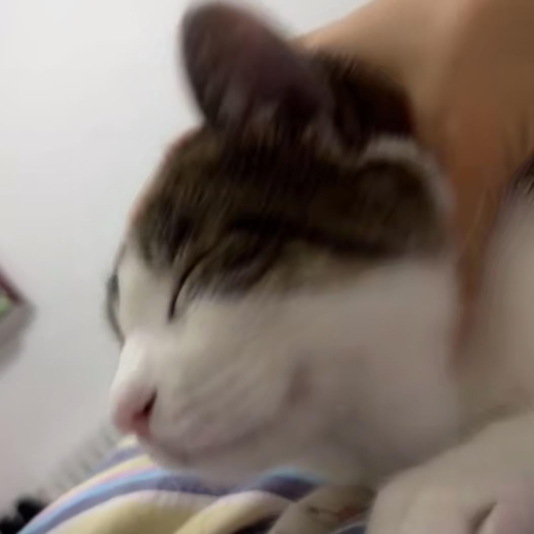 宁安
