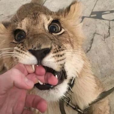 小军，进厂日常