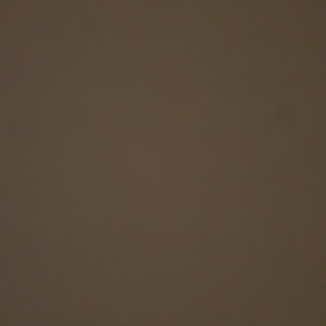 谎言