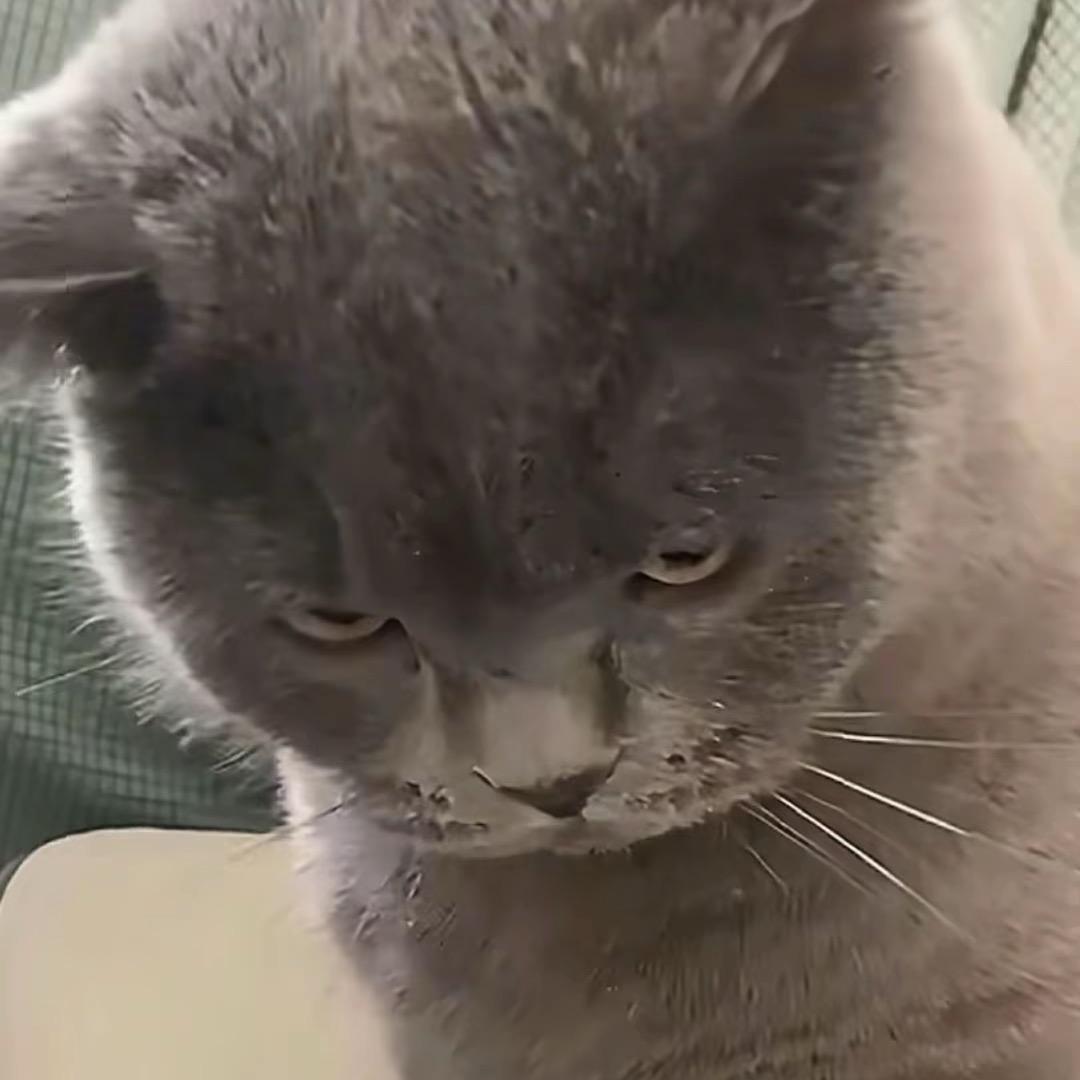 用户