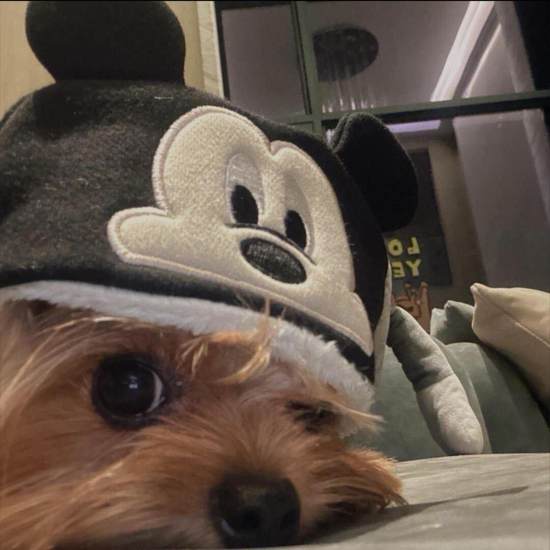 ㅤ𝓺𝓾𝓪𝓷·