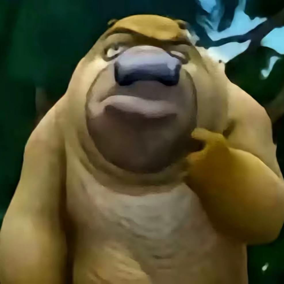Rtiu