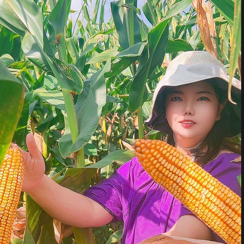玉米大越