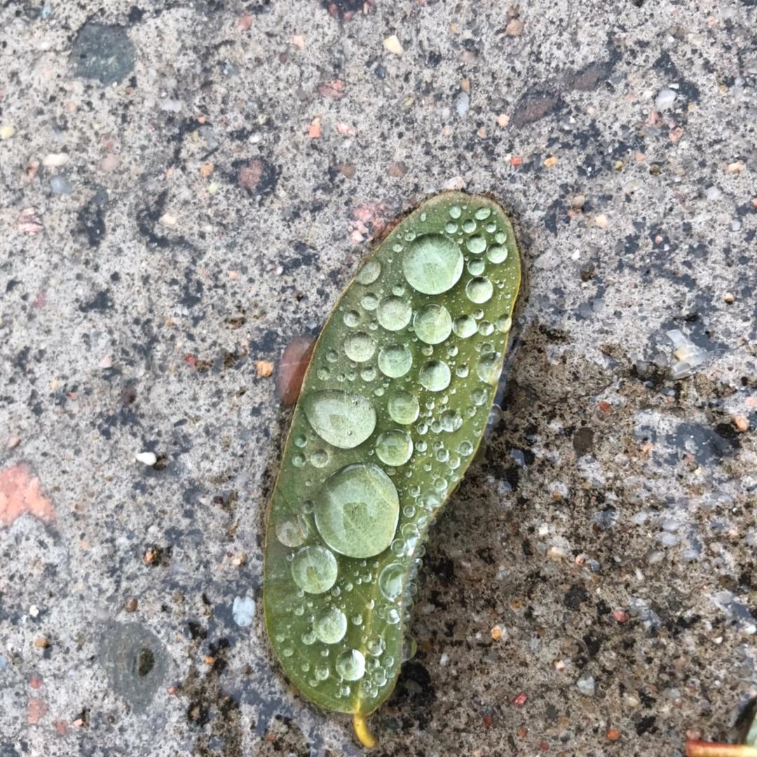 爱吃肉肉的草莓🍓