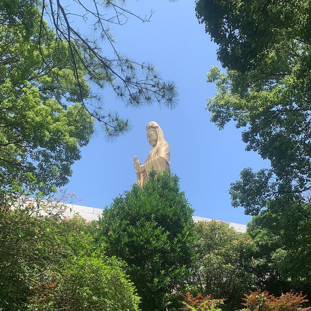 👍高处不胜韩👍