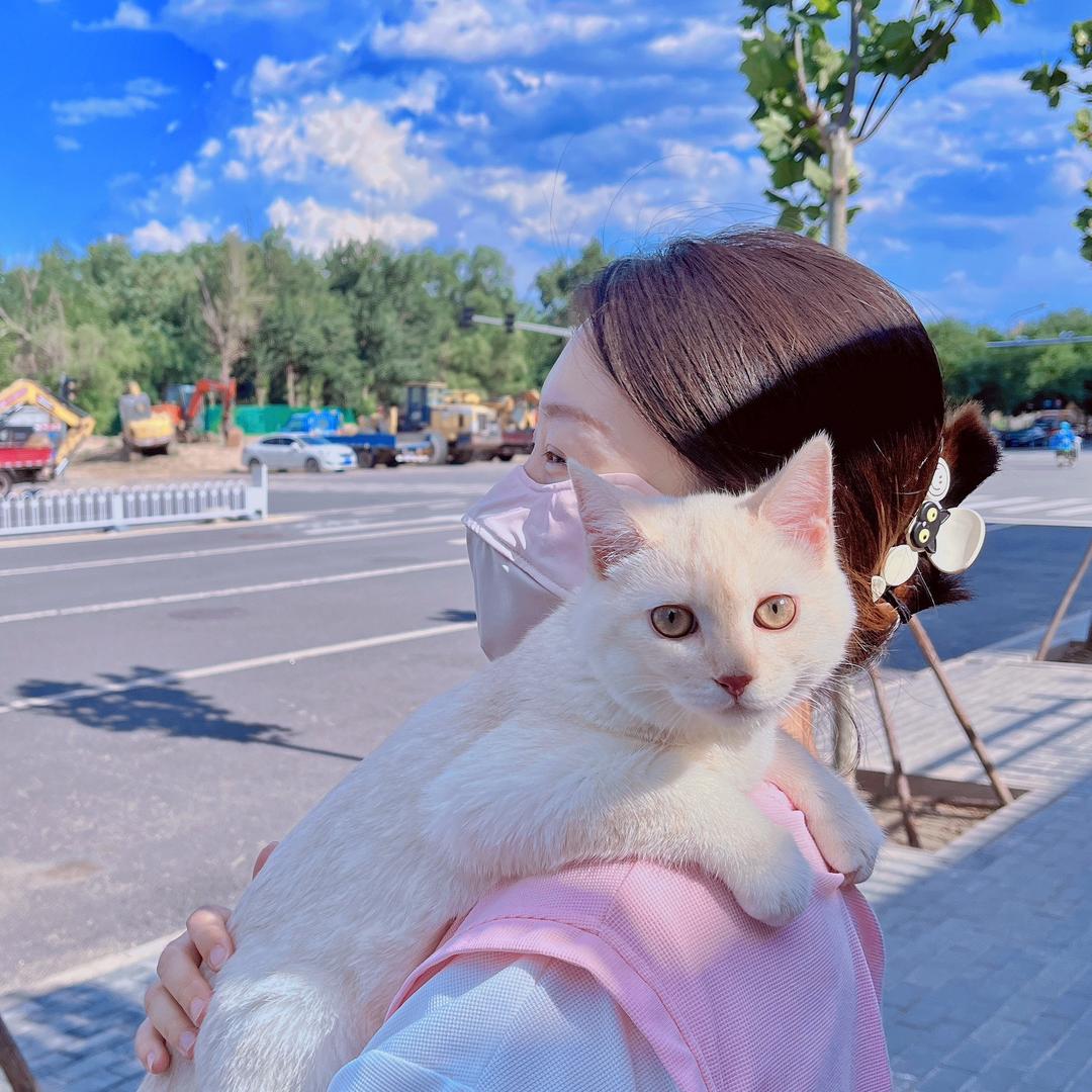 张大猫爱吃香菜