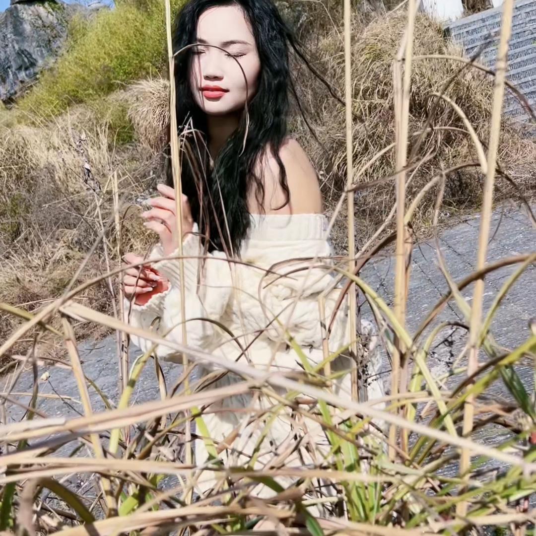 高家二小姐