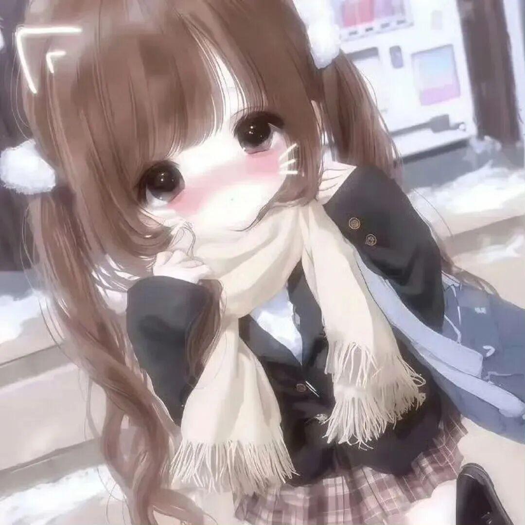 考死普累小蜜蜂