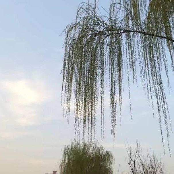 遗忘丿那段爱99