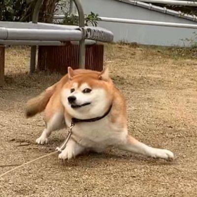 🚀～