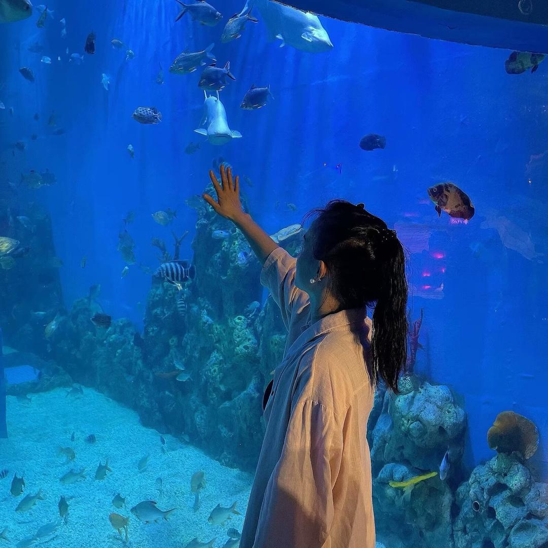 逆旅莹光